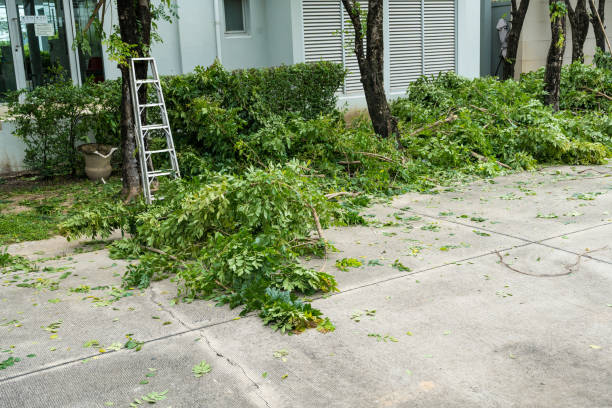 Best Pest Control for Lawns  in Croydon, PA